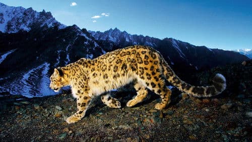 Explorer - Das Magazin Bild 1