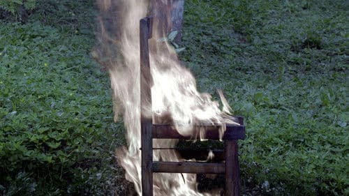 Fogo Selvagem Bild 4