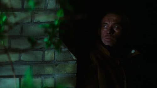 Ninja - In geheimer Mission Bild 4