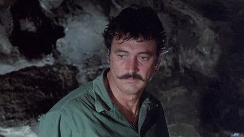 Das Wespennest Bild 6