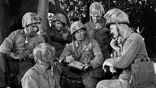 Unternehmen Donnerschlag Bild 1