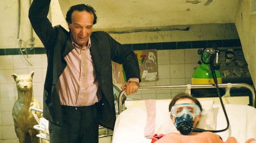 Der Tiger und der Schnee Bild 3