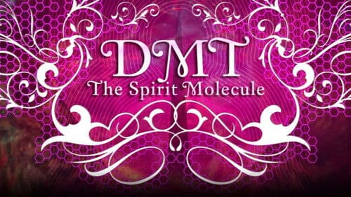 DMT: The Spirit Molecule Bild 2