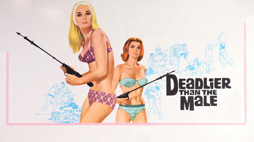 Heiße Katzen Bild 6