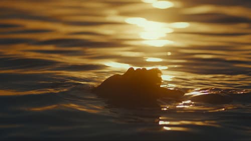 Estranho Caminho Bild 1