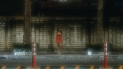 นักร้อง(ไห้)กลางคืน Bild 6