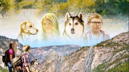 Timber - Ein tierischer Schatz Bild 3