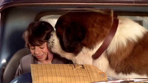 Beethovens großer Durchbruch Bild 3