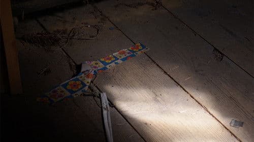 Von den Memoiren eines Hauses Bild 2