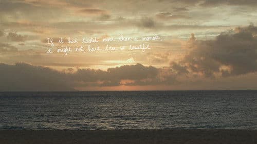 Do you hear the wind in the pine trees? Bild 8