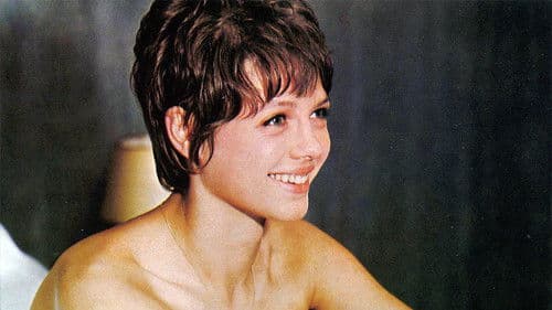 Wie junge Wölfe Bild 3