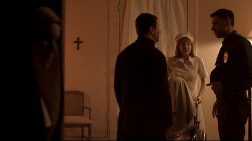 Hide in the Light Bild 5