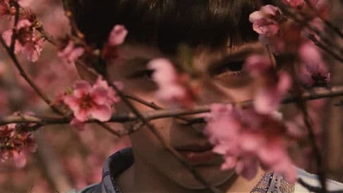 Voci nel tempo Bild 8