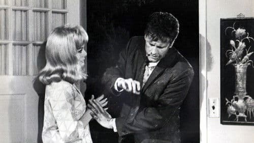 The Money Jungle Bild 1