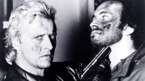 Gesucht: Tot oder lebendig Bild 4