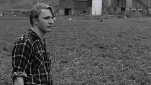 Spring Night, Summer Night Bild 5