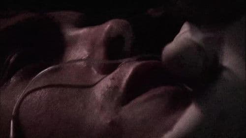 Final 24 - Die letzten 24 Stunden von... Bild 2