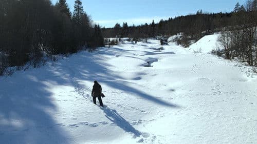 Arctic's Edge Bild 1