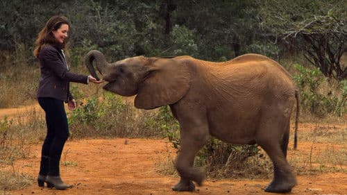 Weihnachten in der Wildnis Bild 3
