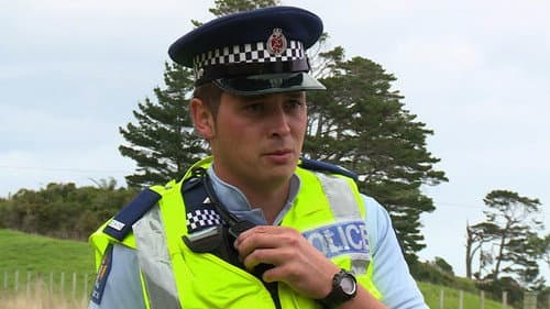 Highway Cops Bild 2