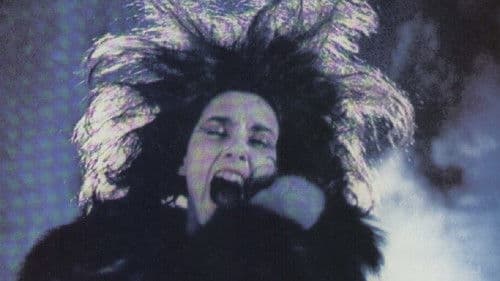 Ein Sommernachtstraum Bild 1