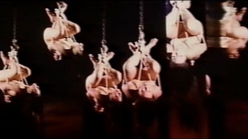 黒薔薇夫人 Bild 2