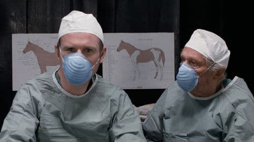 Aus dem Leben gegriffen Bild 7