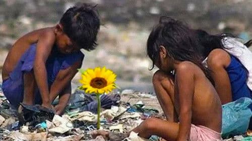 Insel der Blumen Bild 1