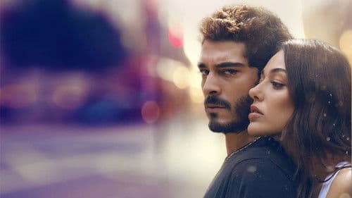 Yarım Kalan Aşklar Bild 4