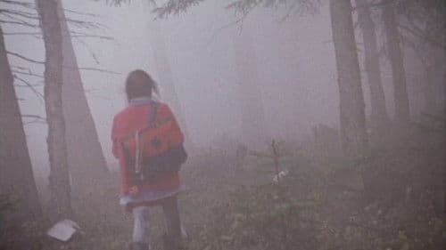 Flickan och dimman Bild 1