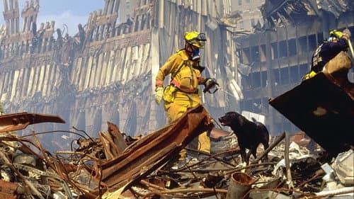 11. September - Die letzten Stunden im World Trade Center Bild 4