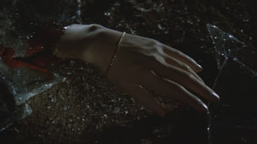 ヘアピン・サーカス Bild 4