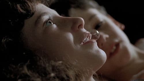 Toto der Held Bild 2