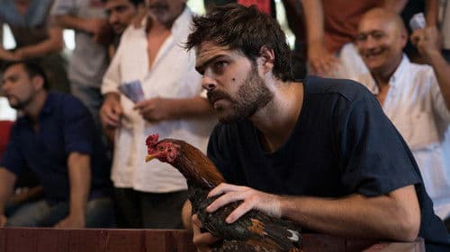 Un gallo para Esculapio Bild 3