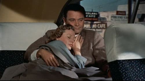 Ohne Liebe geht es nicht Bild 4