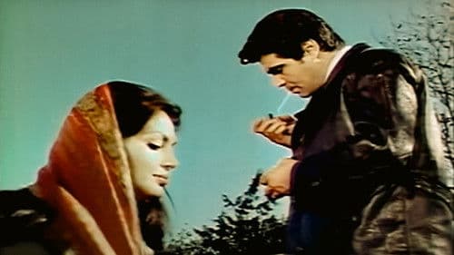 Kölen Olayım Bild 1