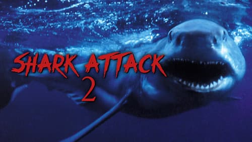 Shark Attack - The Killer Is Back Bild 7