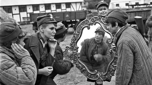 Rzeczpospolita babska Bild 7