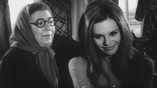 Cemile: Yaralı Ceylan Bild 1