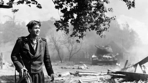 Die Abenteuer des Werner Holt Bild 1