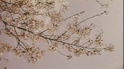 若奥様　太股びらき Bild 1