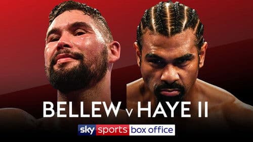 Tony Bellew vs. David Haye II Bild 3
