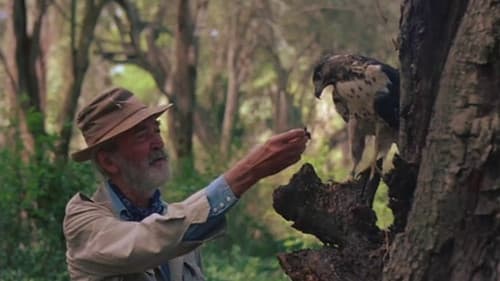 Der Fremde im Regenwald Bild 1