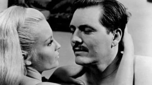 Reitet das rosarote Pferdchen Bild 1