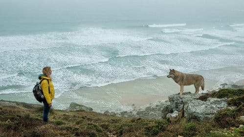 Das Zimmer der Wunder Bild 8