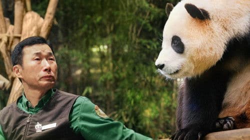 안녕, 할부지 Bild 4