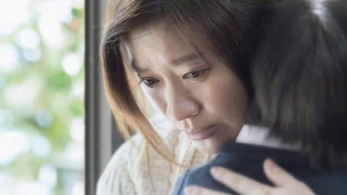 人魚の眠る家 Bild 2