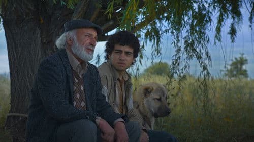 Արարատ Կղզի Bild 1