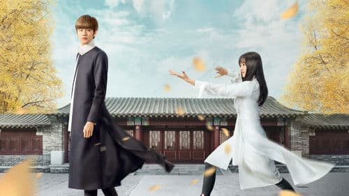 淑女飘飘拳 Bild 1