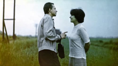 Kobieta samotna Bild 5